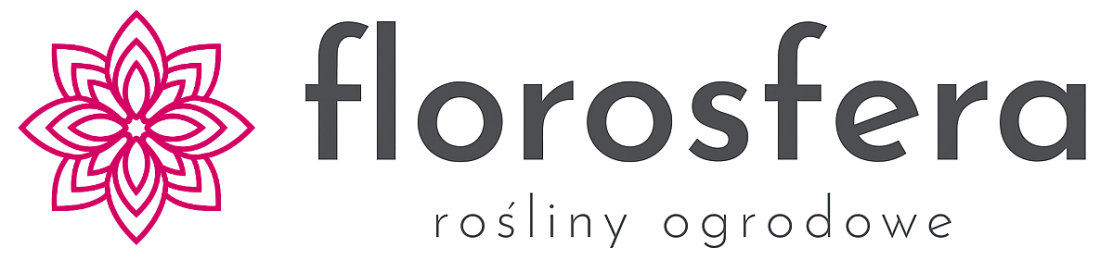 Shoper demo - strona główna